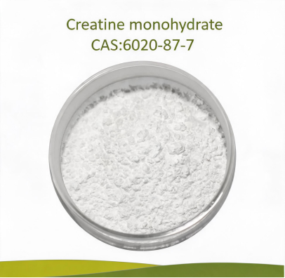 Creatine Monohydrate,CAS NO. 6020-87-7 Creatine Monohydrate,CAS NO. 6020-87-7