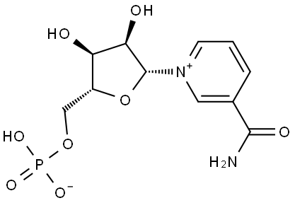 β-Nicotinamide Mononucleotide (NMN) Pure Powder Supplier β-Nicotinamide Mononucleotide (NMN) Pure Powder Supplier